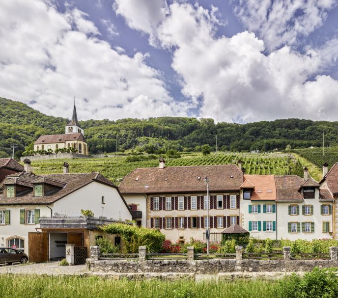 Sanierung Rebhaus Ligerz